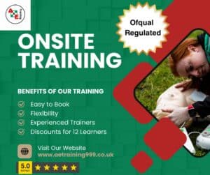 Onsite training could save you money